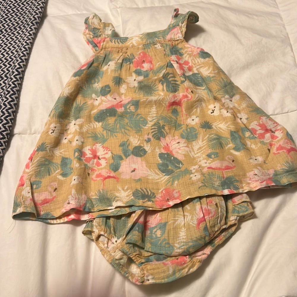 Angel Dear 12/18m(toddler dress) with bloomers.NWT